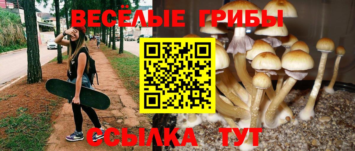 Светлоград  Галлюциногенные грибы MAGIC MUSHROOMS  Вход с VPN  Галлюциногенные грибы MAGIC MUSHROOMS 
