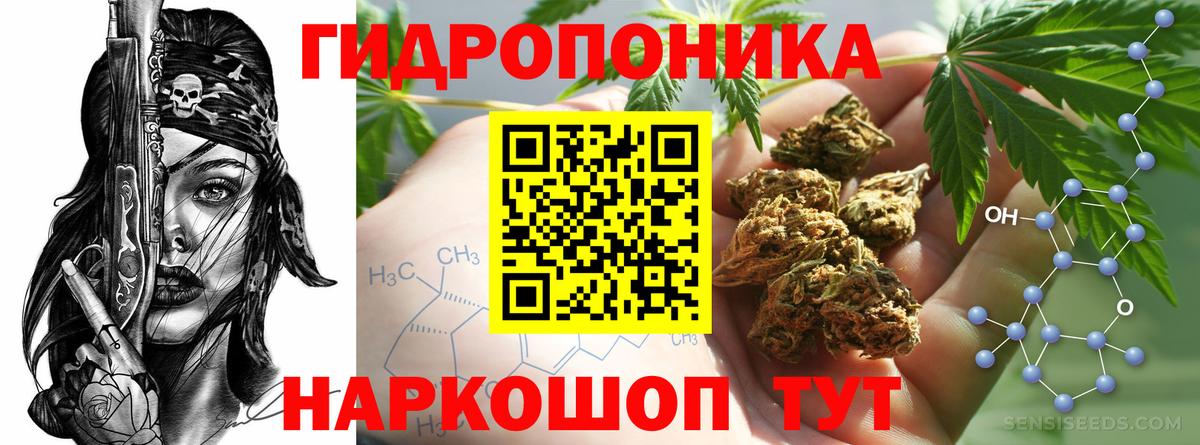 Марихуана сатива Светлоград